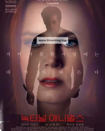 녹터널 애니멀스 Nocturnal.Animals.2016.1080p.BluRay.DDP5.1.x265.10bit-GalaxyRG265