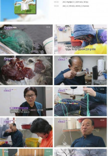 6시 내고향.E7704.230116.720p.H264-F1RST.mp4