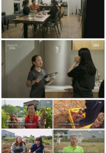 일요 특선 다큐멘터리.E327.231105.1080p.H264-F1RST.mp4