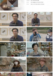 일요 특선 다큐멘터리.E281.220605.1080p.H264-F1RST.mp4