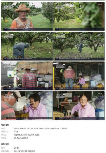 자연의 철학자들.E29.221014.1080p.H264-F1RST.mp4